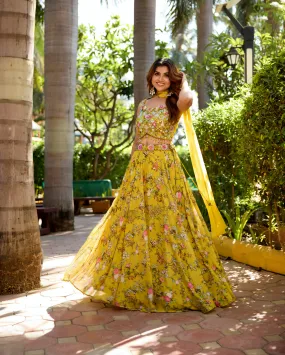 Designer Indo Western Diviader Set with Embroidery & Net Jacket
