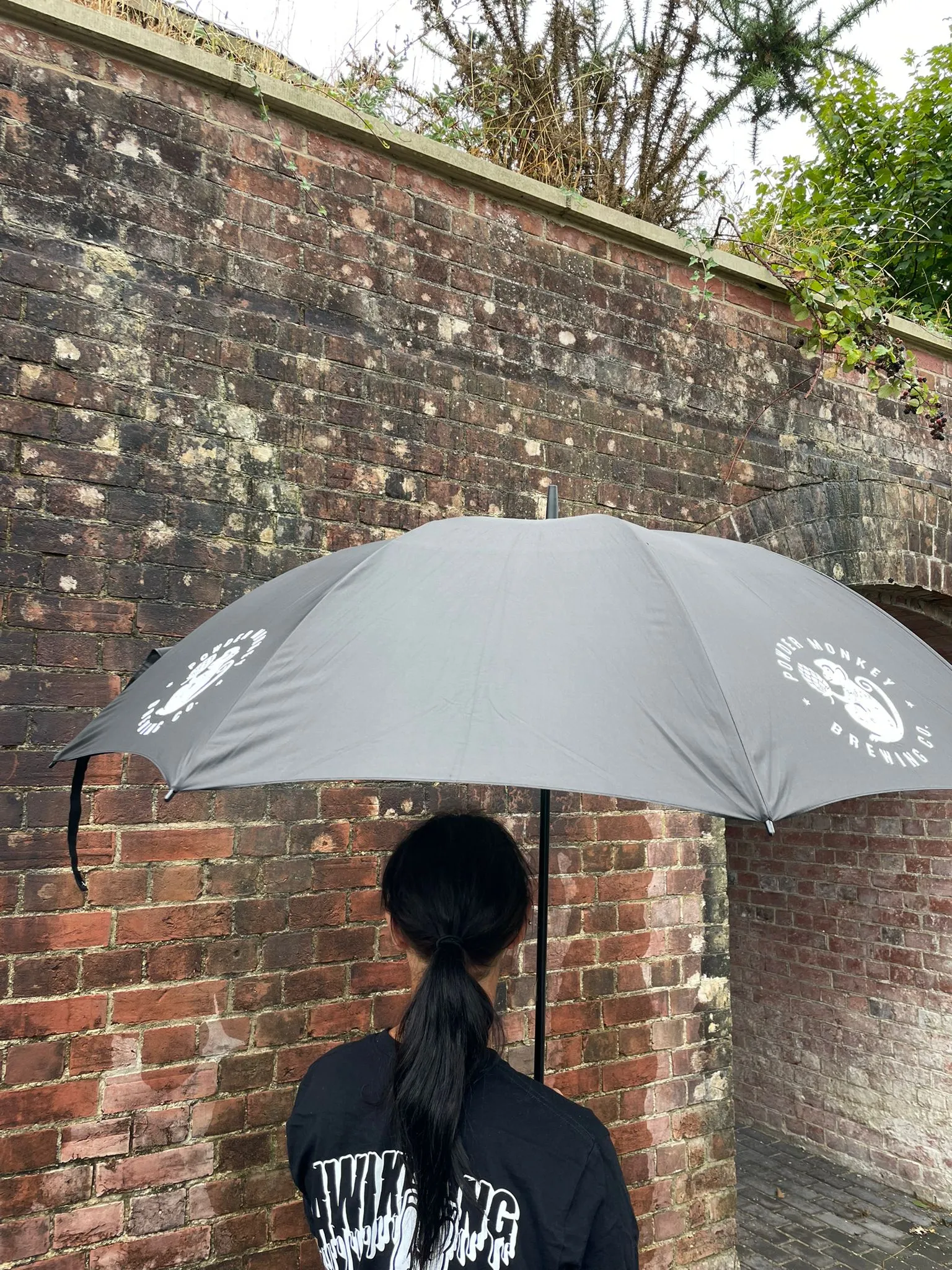 Powder Monkey's Ultimate Cool Umbrella or Unleash the Power of our Perfect Golf Umbrella